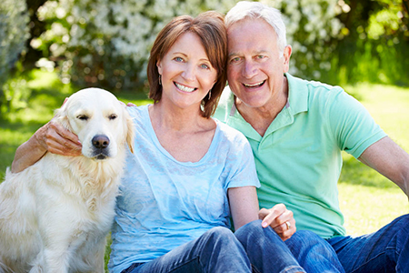 Plum Dental Associates